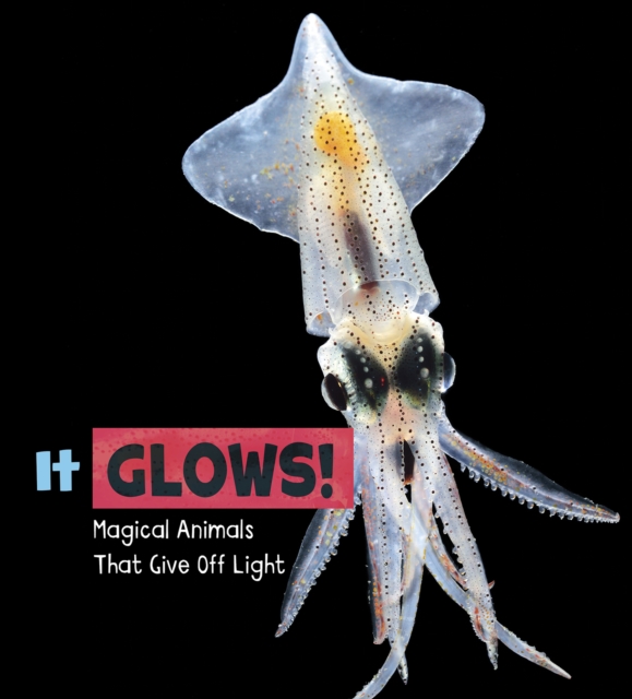 It Glows! : Magical Animals That Give Off Light, Hardback Book