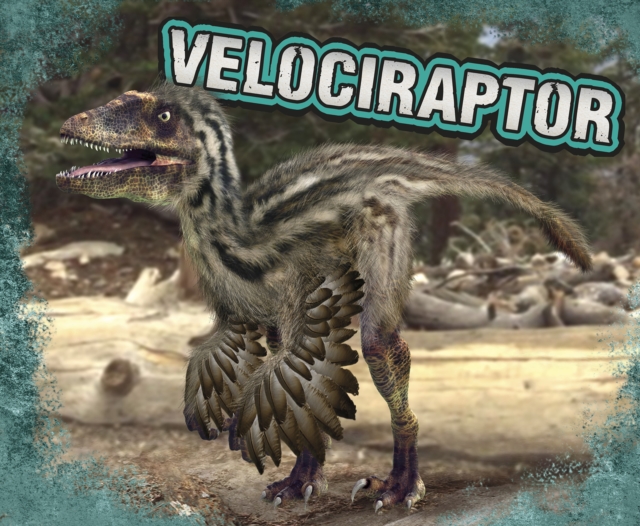 Velociraptor, Hardback Book
