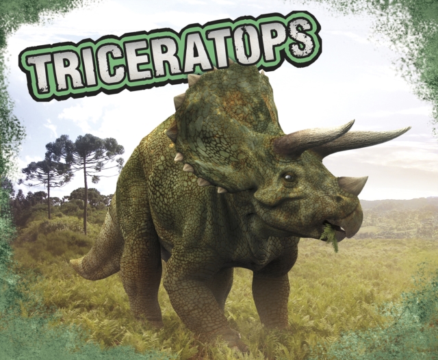Triceratops, Hardback Book