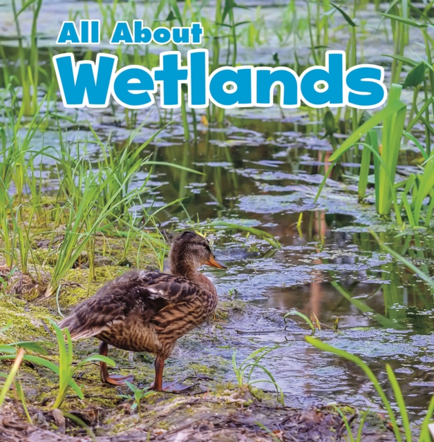 All About Wetlands, Hardback Book