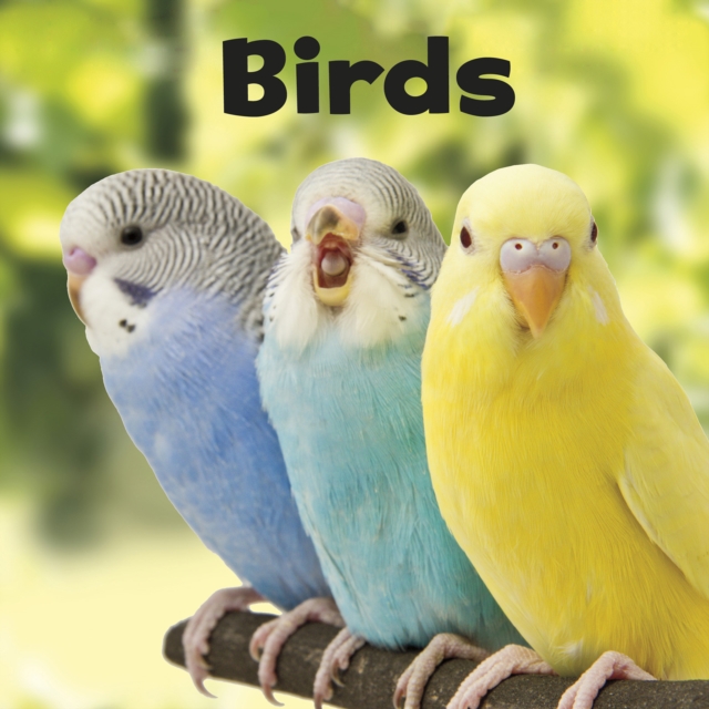 Birds, PDF eBook