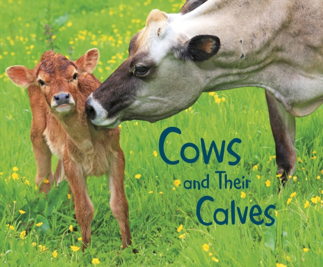 Cows and Their Calves, Hardback Book
