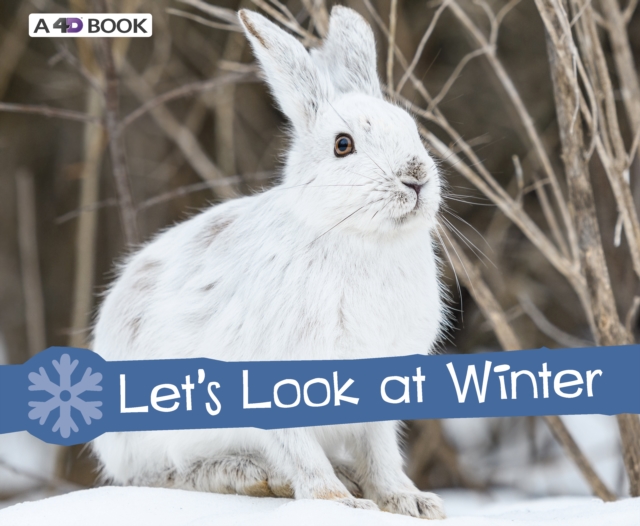 Let's Look at Winter, Hardback Book