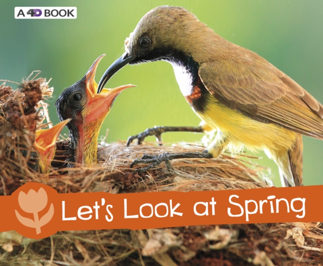 Let's Look at Spring, Hardback Book