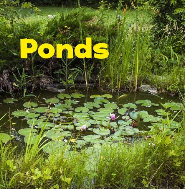 Ponds, Hardback Book