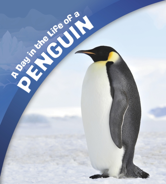 A Day in the Life of a Penguin, Hardback Book