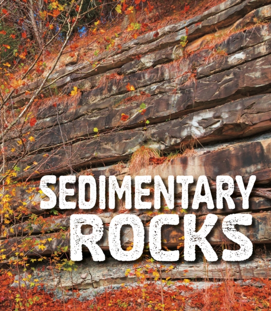 Sedimentary Rocks, Hardback Book