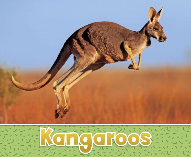 Kangaroos, Paperback / softback Book