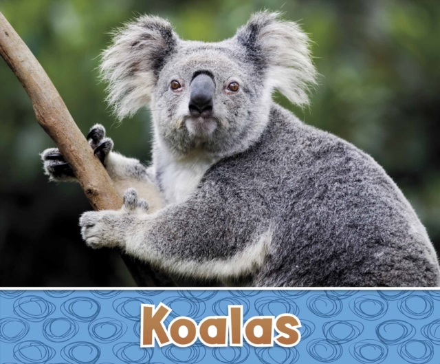 Koalas, PDF eBook