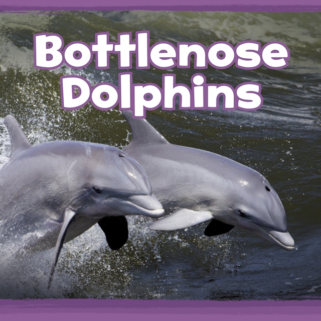 Bottlenose Dolphins, Hardback Book