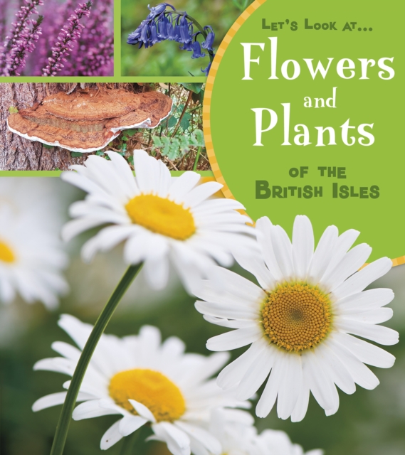 Flowers and Plants of the British Isles, Hardback Book