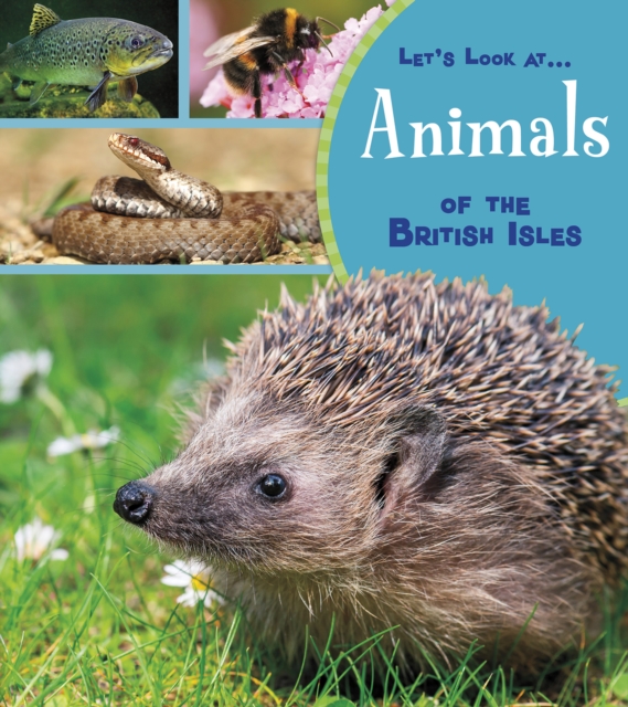 Animals of the British Isles, Hardback Book