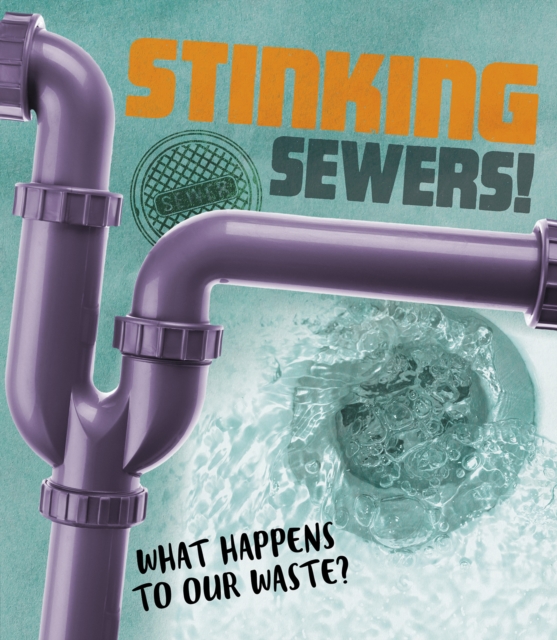 Stinking Sewers! : What happens to our waste?, PDF eBook