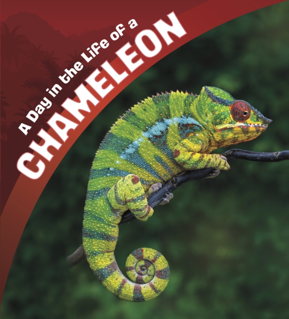 A Day in the Life of a Chameleon, Paperback / softback Book