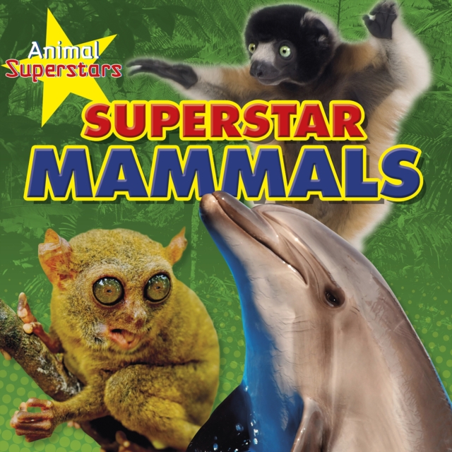 Mammal Superstars, Hardback Book