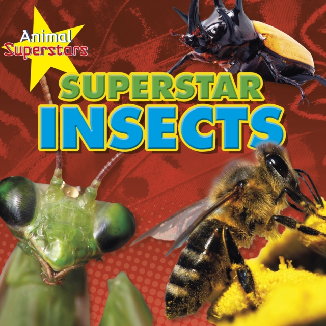 Insect Superstars, Hardback Book
