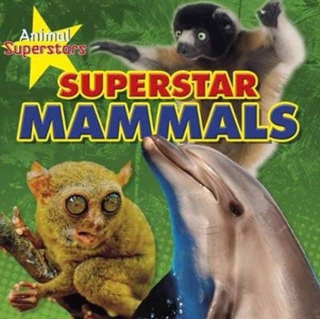 Animal Superstars Pack A of 4, Mixed media product Book
