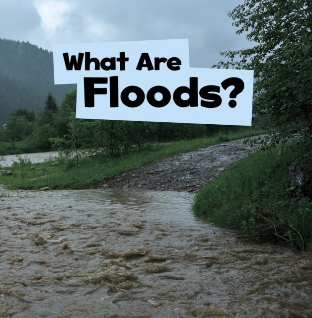 What Are Floods?, Hardback Book