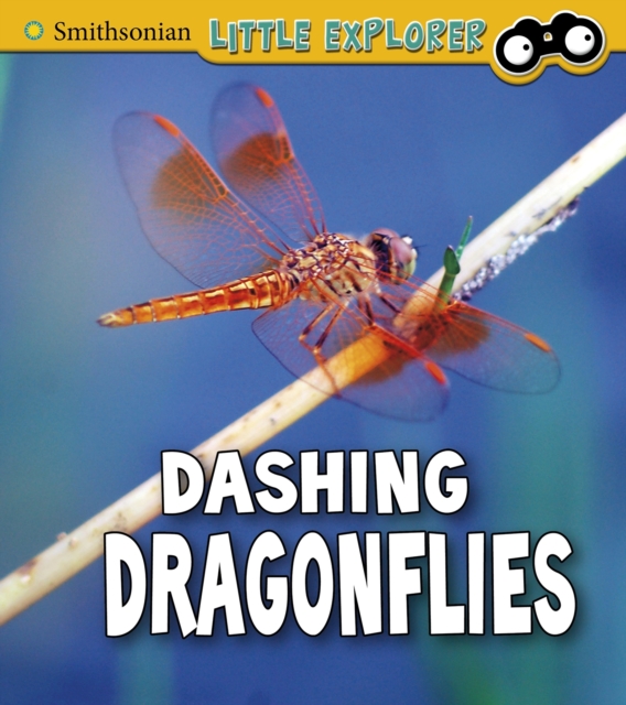 Dashing Dragonflies, Hardback Book