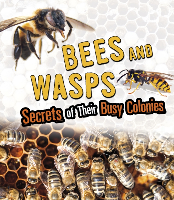 Bees and Wasps : Secrets of Their Busy Colonies, Hardback Book