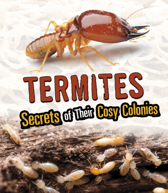 Termites : Secrets of Their Cozy Colonies, Hardback Book