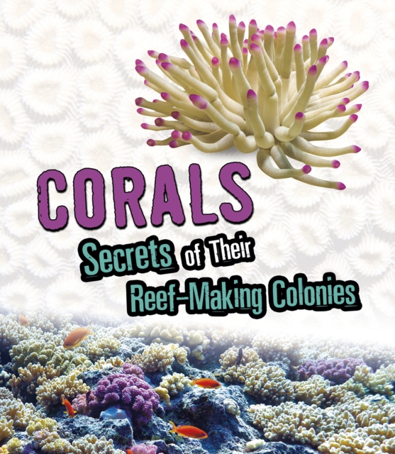 Corals : Secrets of Their Reef-Making Colonies, Hardback Book