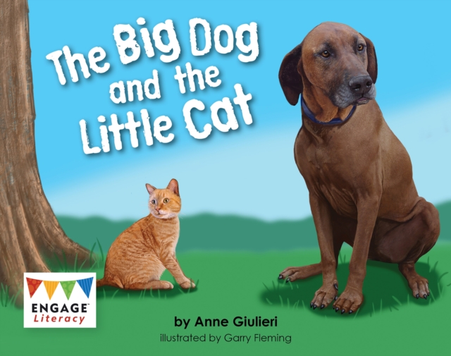 The Big Dog and the Little Cat, Paperback / softback Book