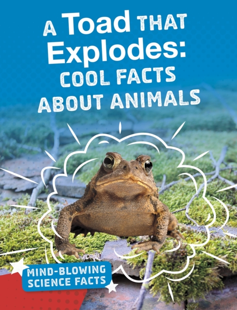 A Toad That Explodes : Cool Facts About Animals, Hardback Book