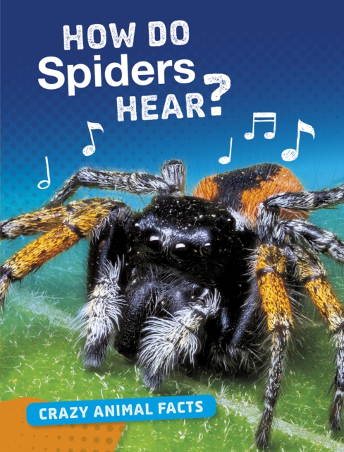 How Do Spiders Hear?, Hardback Book