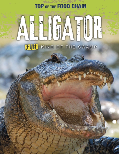 Alligator : Killer King of the Swamp, Hardback Book