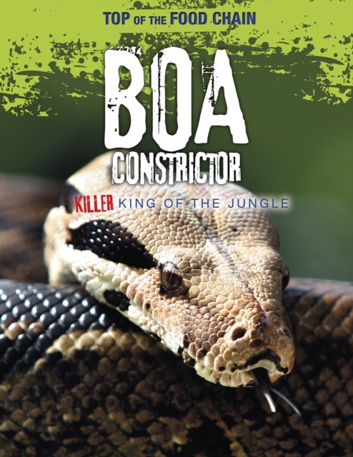 Boa Constrictor : Killer King of the Jungle, Hardback Book