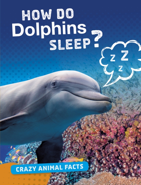 How Do Dolphins Sleep?, PDF eBook