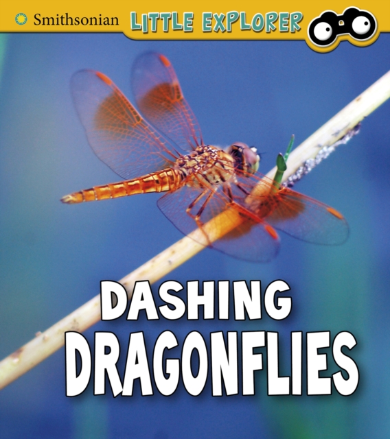 Dashing Dragonflies, PDF eBook