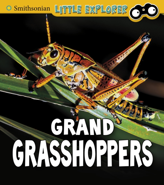Grand Grasshoppers, PDF eBook