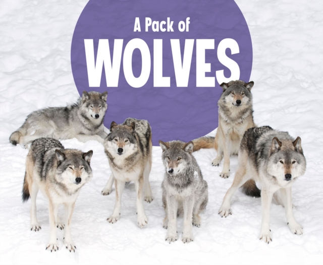 A Pack of Wolves, Hardback Book