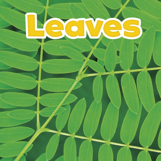 Leaves, Hardback Book