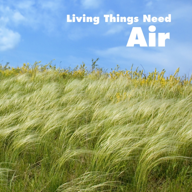 Living Things Need Air, Paperback / softback Book