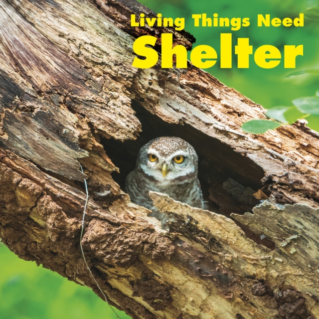 Living Things Need Shelter, Paperback / softback Book