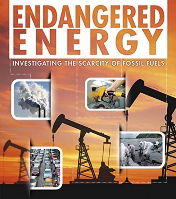 Endangered Energy : Investigating the Scarcity of Fossil Fuels, Hardback Book