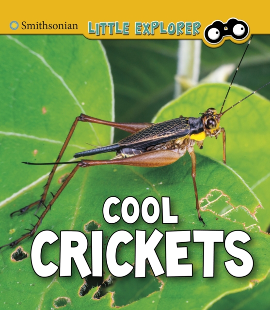 Cool Crickets, Hardback Book