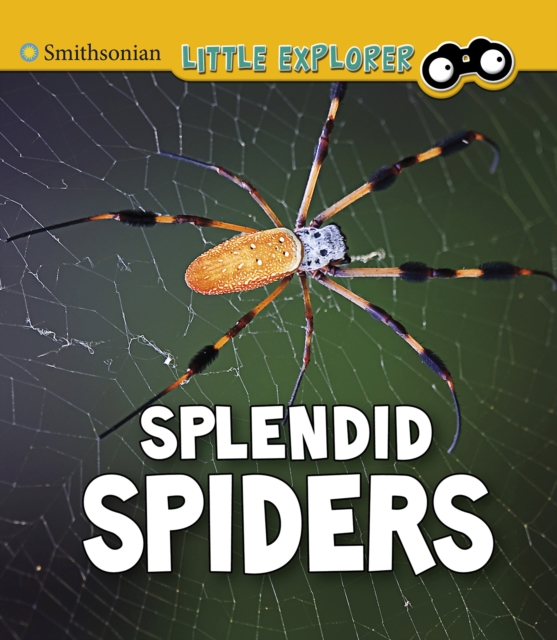 Splendid Spiders, Hardback Book
