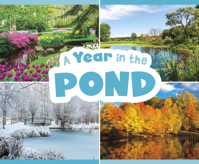 A Year in the Pond, Paperback / softback Book