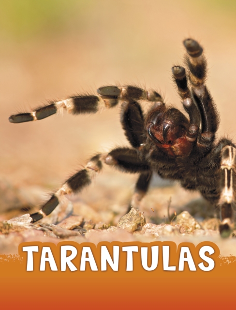 Tarantulas, Paperback / softback Book