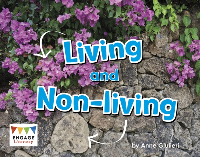 Living and Non-Living, Paperback / softback Book