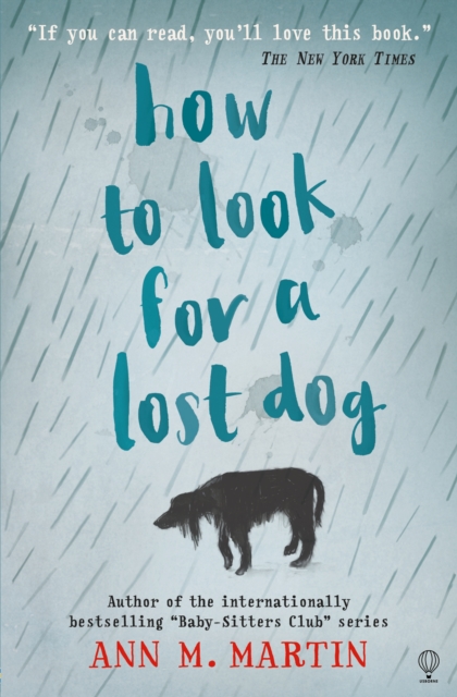 How to Look for a Lost Dog, Paperback / softback Book