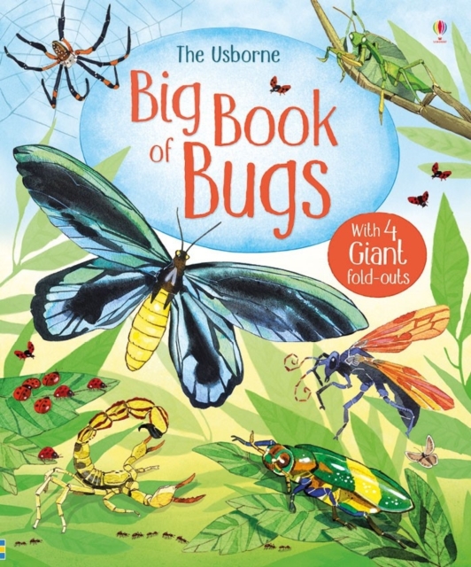 Big Book of Bugs, Hardback Book