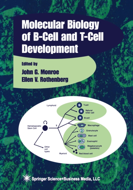 Molecular Biology of B-Cell and T-Cell Development, PDF eBook