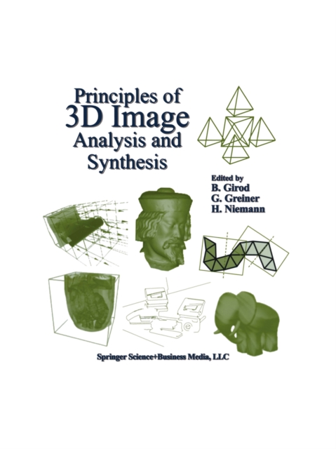 Principles of 3D Image Analysis and Synthesis, PDF eBook