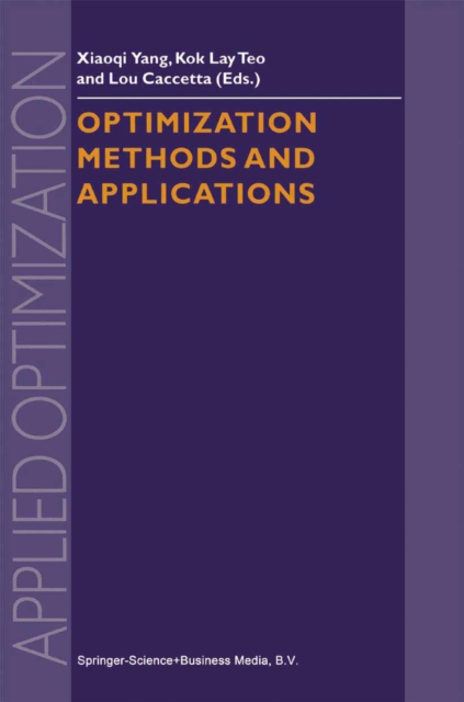Optimization Methods and Applications, PDF eBook
