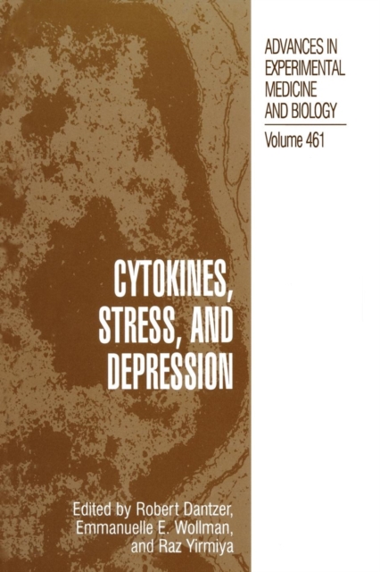 Cytokines, Stress, and Depression, Paperback / softback Book